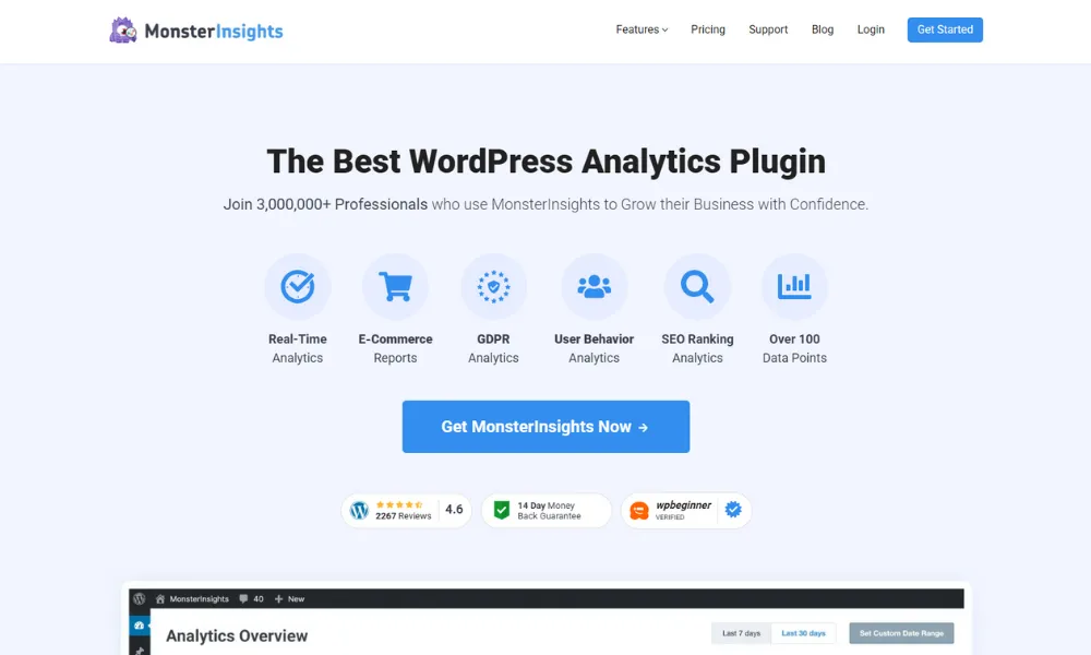 MonsterInsights
