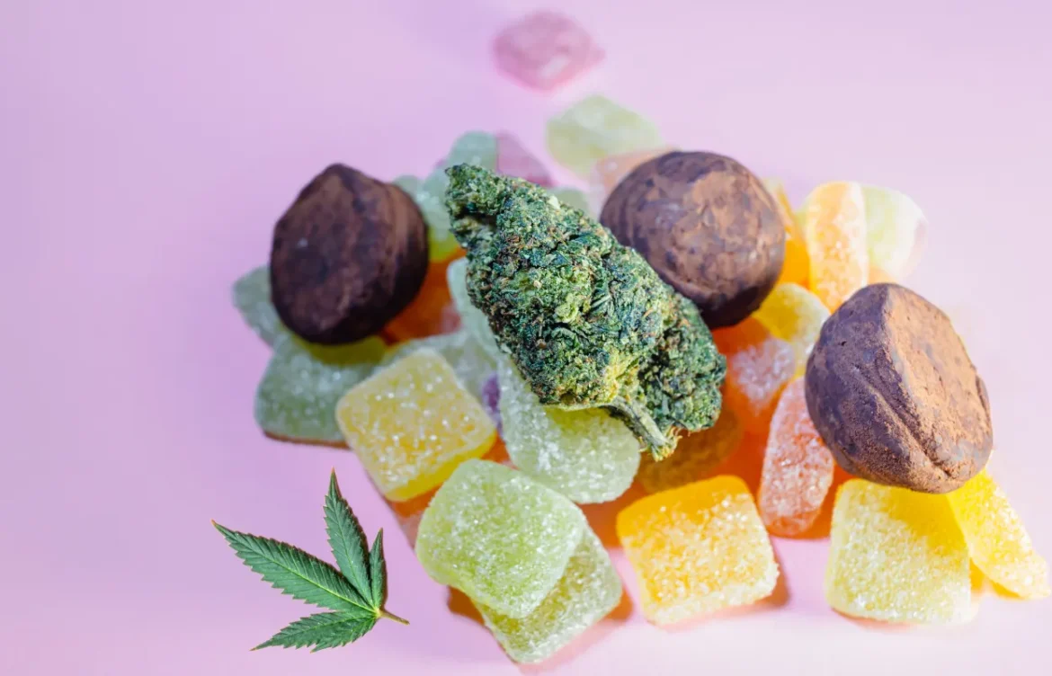 Top 5 CBD Brands Elevating Natural Wellness in 2025