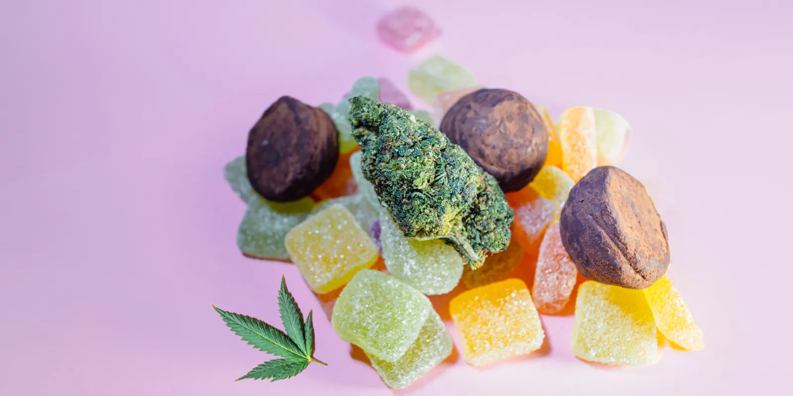 Top 5 CBD Brands Elevating Natural Wellness in 2025